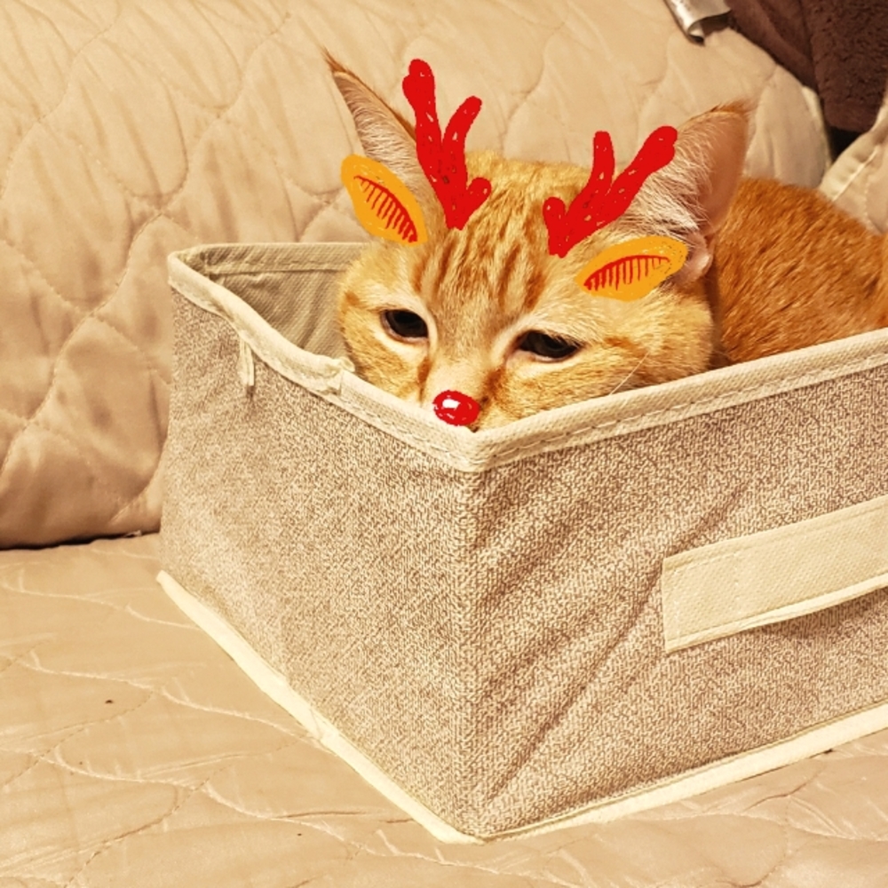 Meet your Posher, Arleen